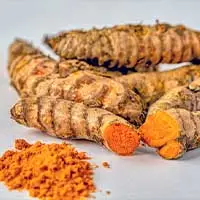 Turmeric rhizome and powder